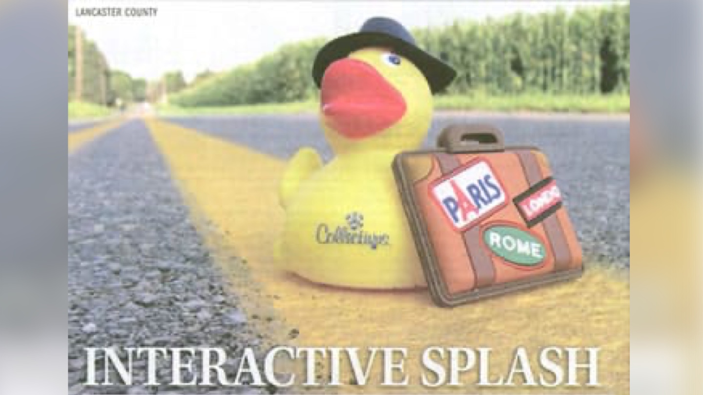 Image of a duck in a hat with a suitcase on a roadside. Newpaper image.