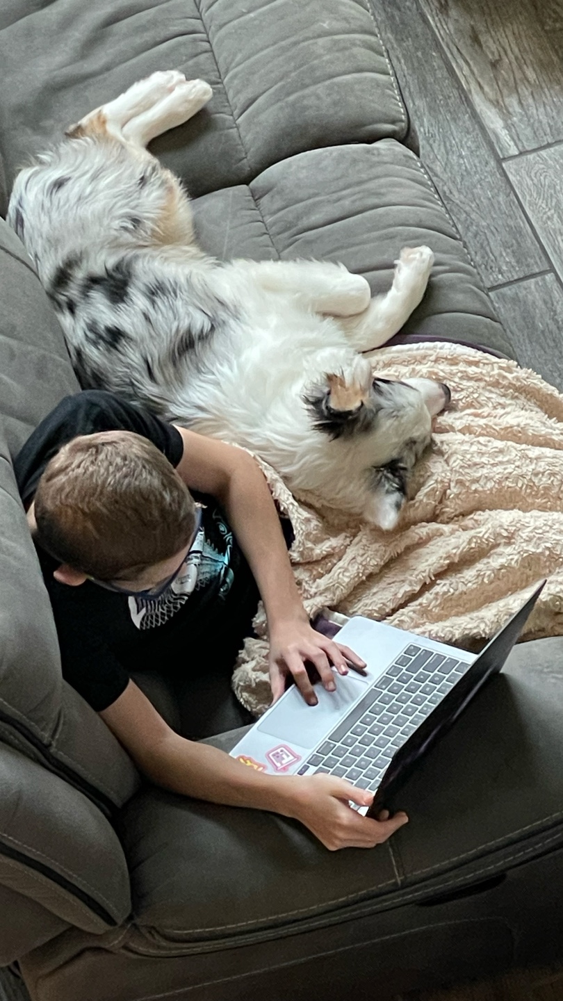 An above-angle image of a boy on his laptop while a puppy sleeps next to him